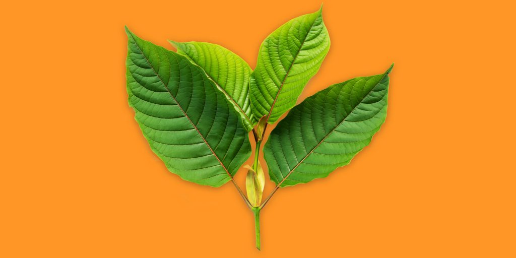 Kratom